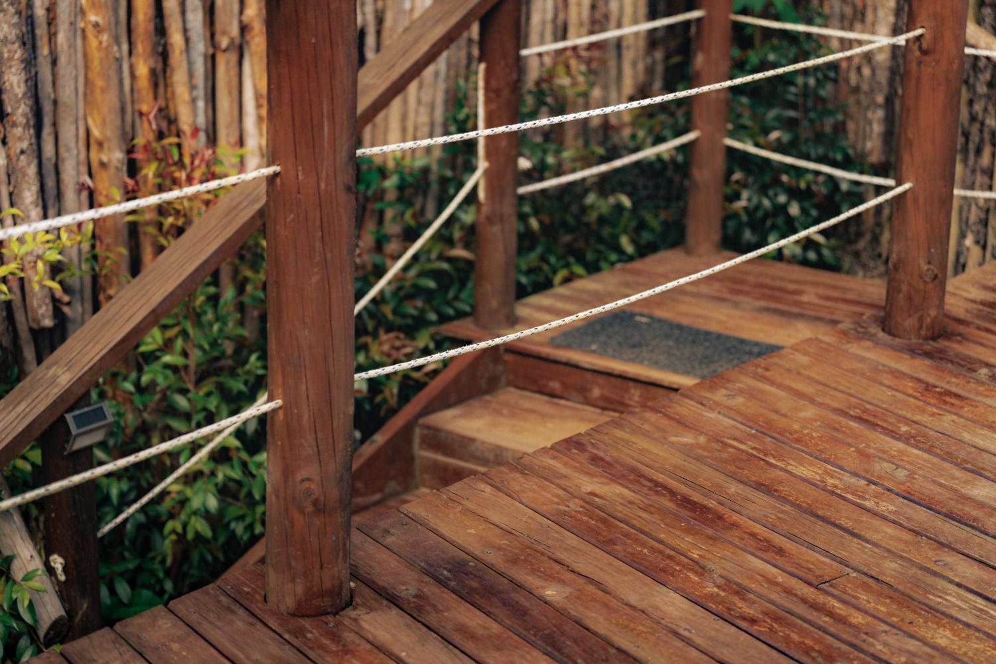 מלון ריונגרו Bubblesky Glamping 15 Min From Medellin מראה חיצוני תמונה