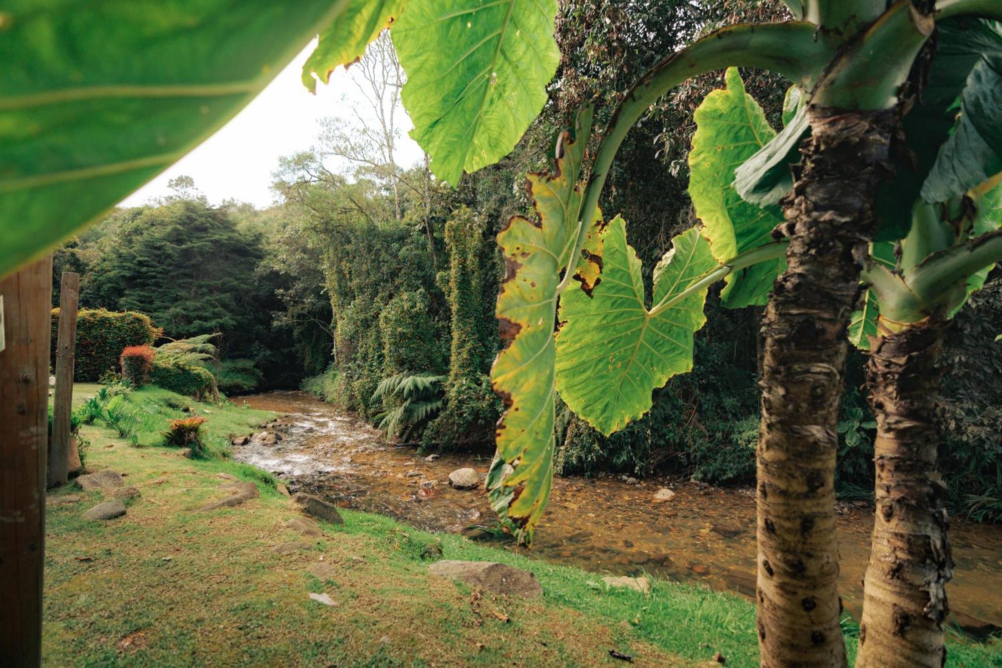 מלון ריונגרו Bubblesky Glamping 15 Min From Medellin מראה חיצוני תמונה