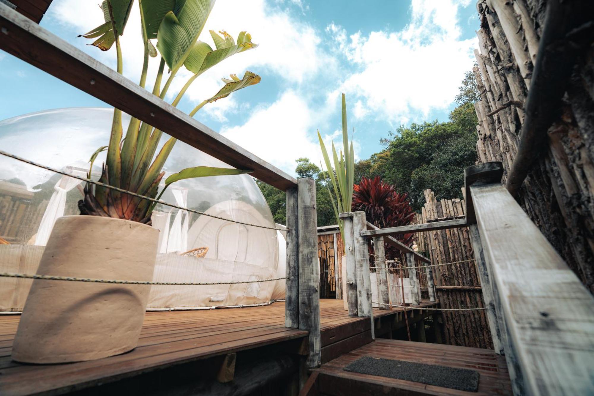 מלון ריונגרו Bubblesky Glamping 15 Min From Medellin מראה חיצוני תמונה