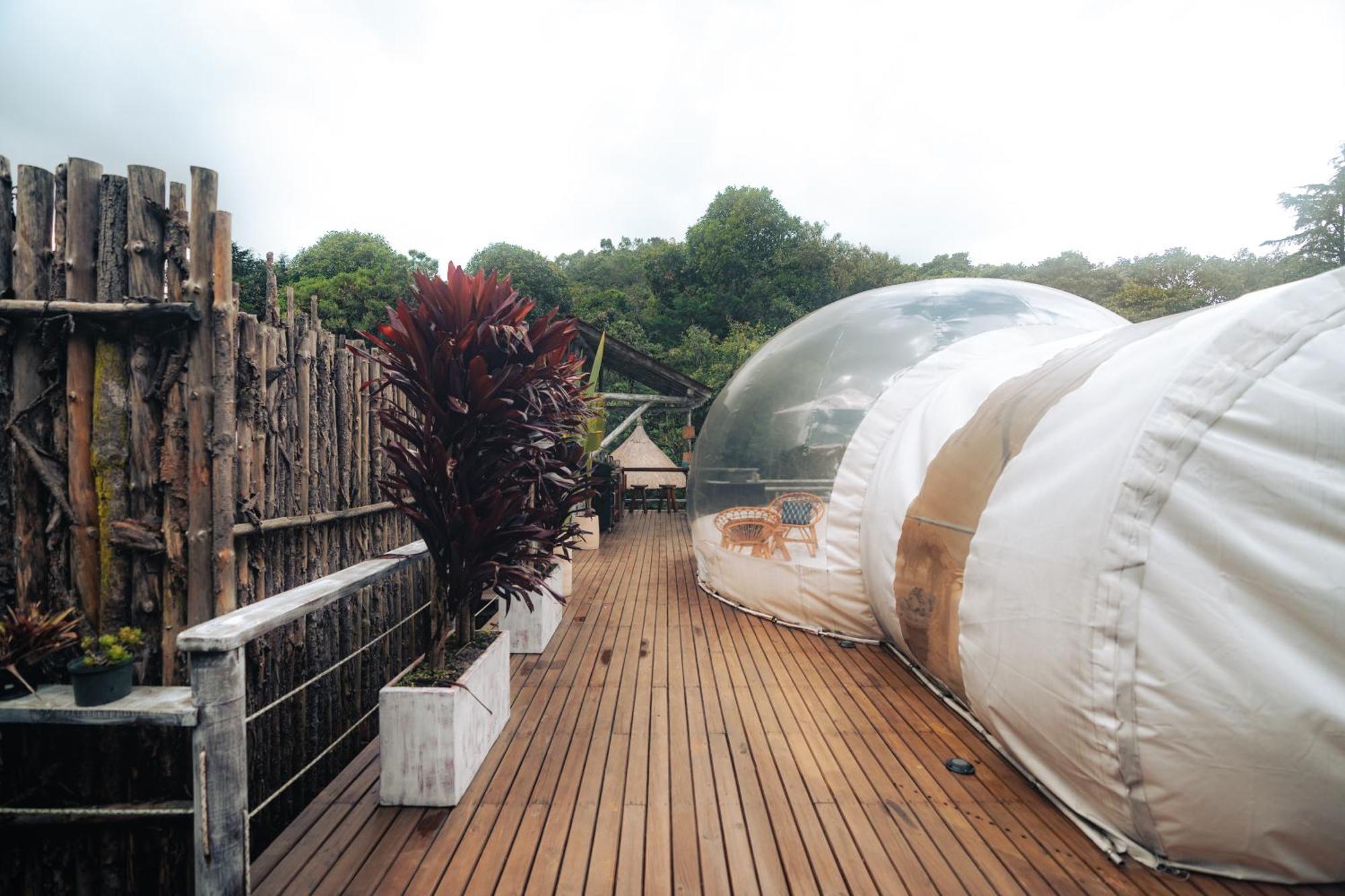 מלון ריונגרו Bubblesky Glamping 15 Min From Medellin מראה חיצוני תמונה